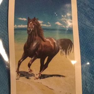 NWT horse on beach towel